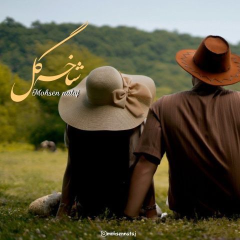 دانلود آهنگ محسن نتاج به نام شاخه گل